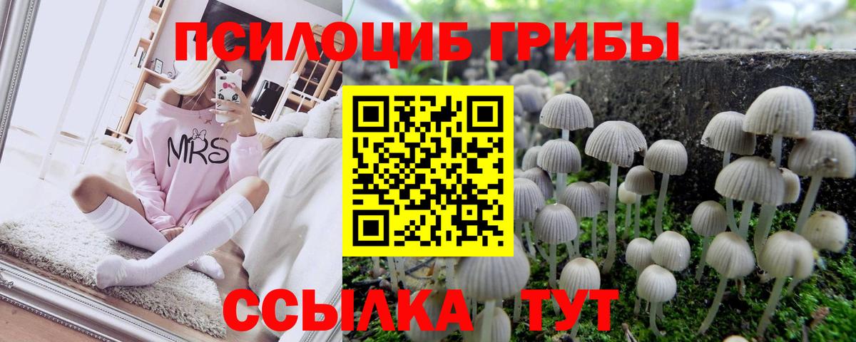 Галлюциногенные грибы мухоморы Лысьва
